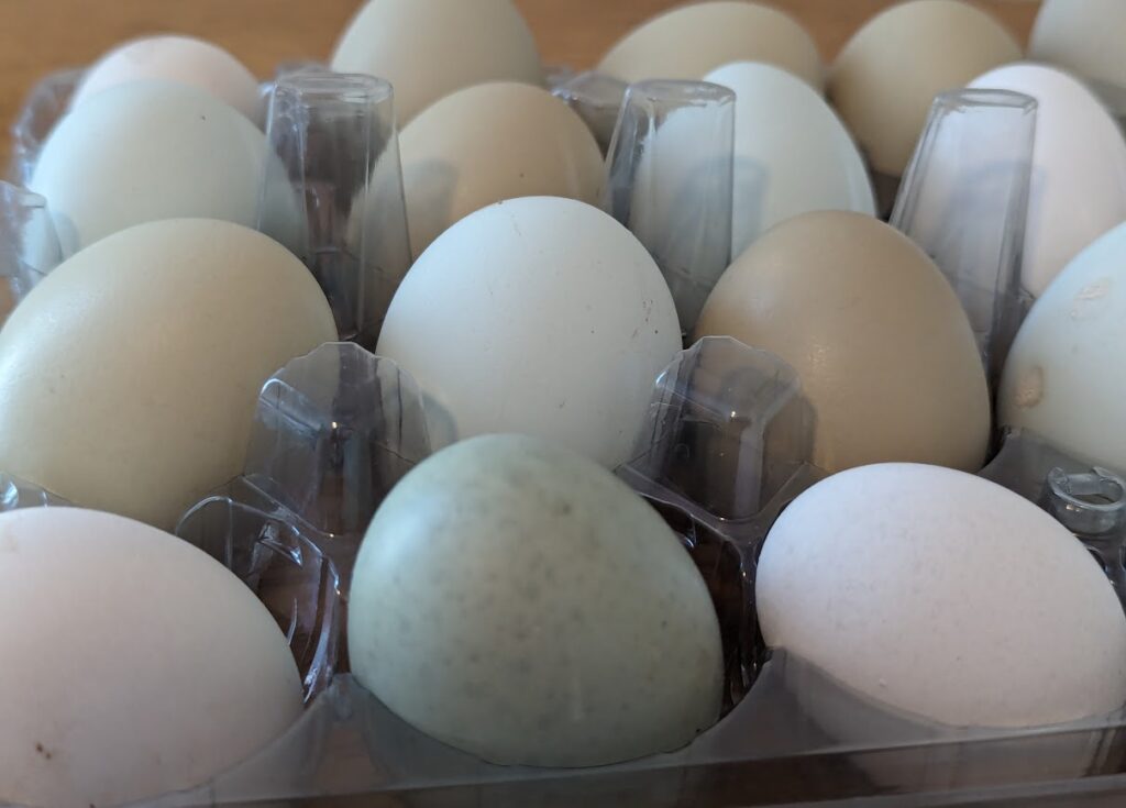 Whole food: fresh eggs