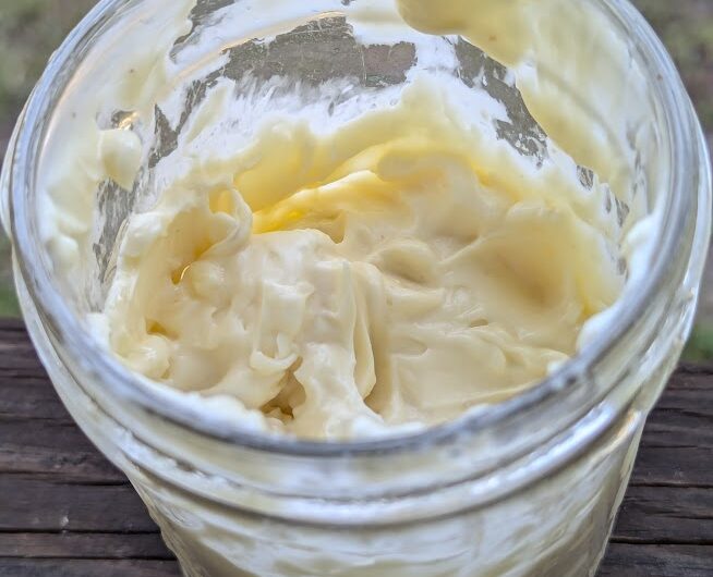 Healthy Mayo Recipe