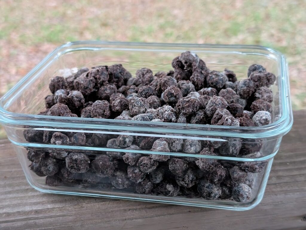 Healthy Muddy Buddy Recipe with Blueberries and Protein