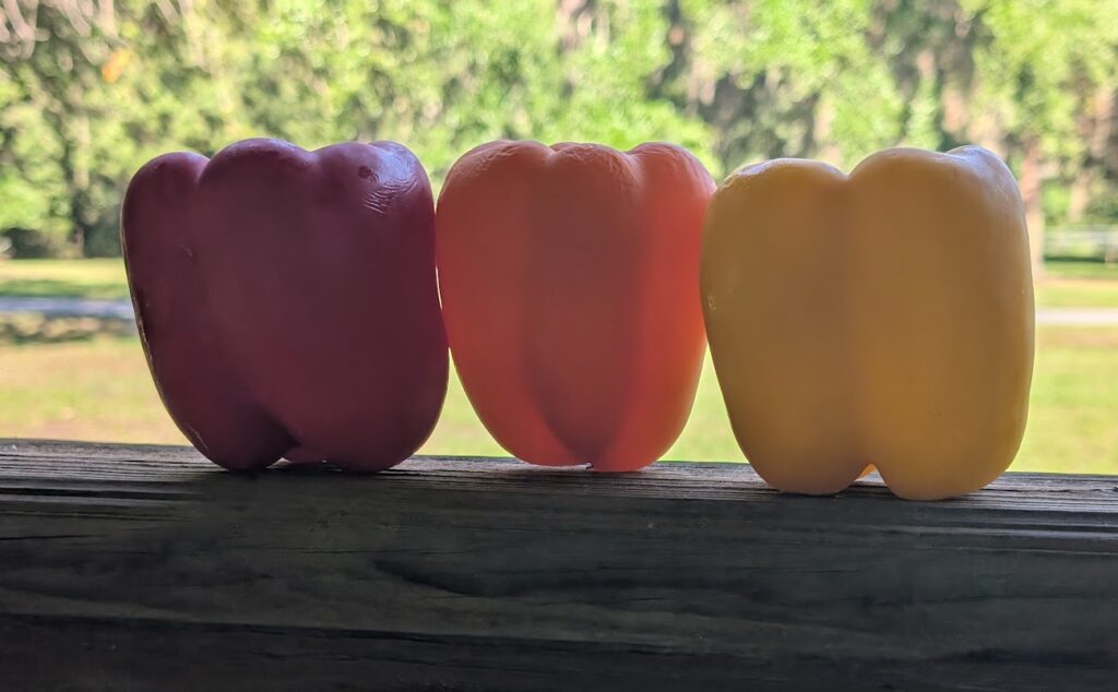 Fresh Red, Orange, and Yellow Bell Peppers