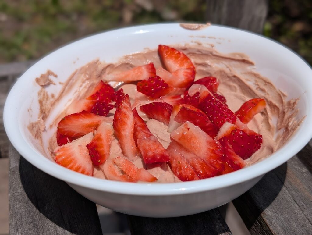 Chocolate yogurt bowl with strawberries